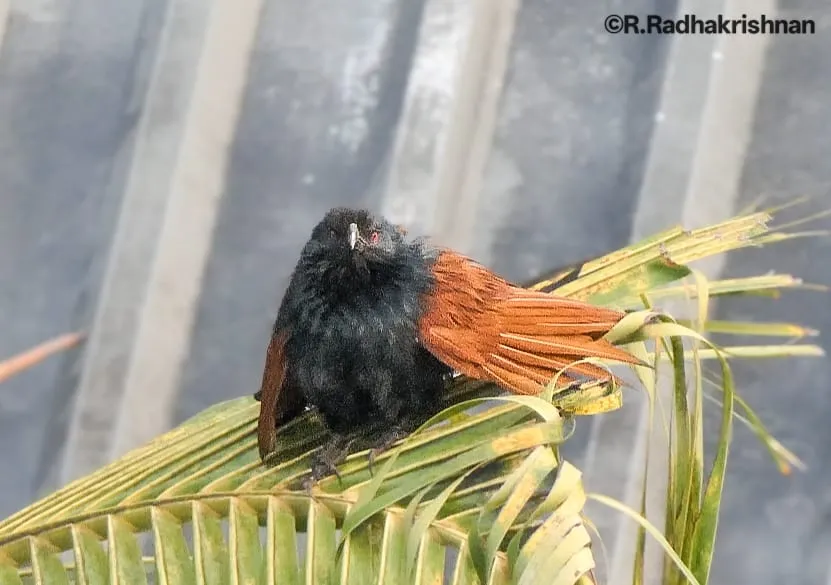 Why am I being photographed