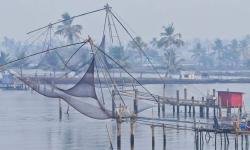 Featured image of post Changaram: Whispers from the wetlands